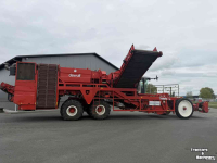 Potato harvester Dewulf Potato4CE