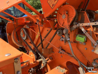 Balers Kayhan Ertugrul ke520