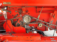 Potato harvester Grimme DL 1700 ROOIER