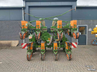Seed drill Amazone ED 601 Maiszaaimachine schijfkouters