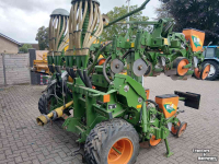Seed drill Amazone ED 601 Maiszaaimachine schijfkouters