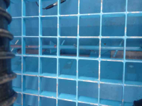 Front hopper seed drill Lemken /