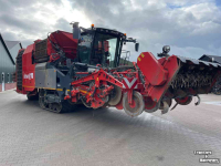 Potato harvester Dewulf Kwatro