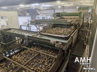 Sorting machine Schouten Sorteerlijn Sorting Line