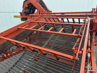 Onion harvester Amac F2 uienlader