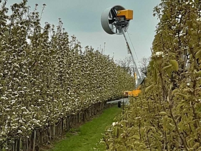 Other fruit-culture equipment and accessories  250 / 650