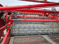 Potato harvester Grimme GT170S