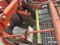 Potato harvester Amac amac d2