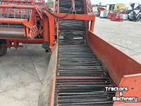 Potato harvester Amac amac d2