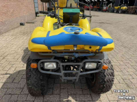 Other sprayers and accessories Kawasaki KLF 300