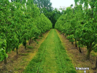 Other fruit-culture equipment and accessories McConnel FRUITAERATOR Fruitteelt Cultivator/ Obst- und Weinbau Tiefenlockerer