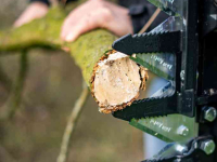 Hedge mower Düvelsdorf Düvelsdorf Takkenschaar, Snoeischaar, Takkenzaag Frontlader
