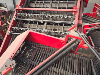 Potato harvester Grimme se 150-60 xxl