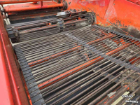 Onion harvester  Amac VRU-150 Uienrooier