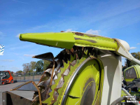 Cornhead Claas Orbis 600