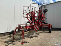 Rake Lely Hibiscus 725 Master