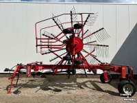 Rake Lely Hibiscus 725 Master