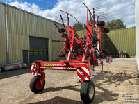 Rake Lely Hibiscus 725 Master