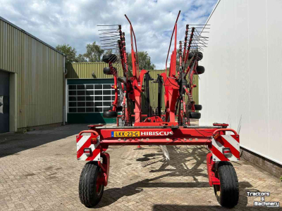 Rake Lely Hibiscus 725 Master