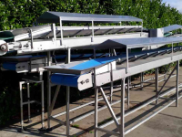 Conveyor  RVS transportband (nog één beschikbaar)