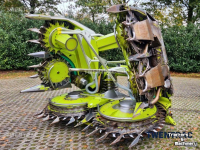 Cornhead Claas Orbis 600 SD maisbek