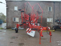 Rake Lely hibiscus 725