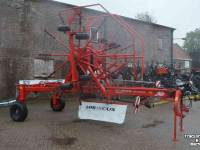 Rake Lely hibiscus 725