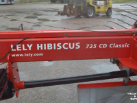 Rake Lely hibiscus 725