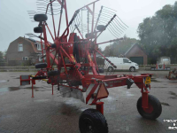 Rake Lely hibiscus 725