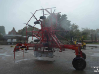 Rake Lely hibiscus 725