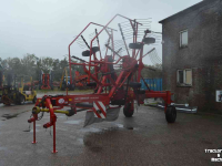 Rake Lely hibiscus 725
