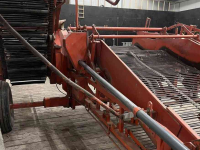 Onion harvester Amac F2 uienlader
