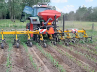 Inter-row cultivator  Busa 8 rijen