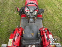 Horticultural Tractors Massey Ferguson tuintrekker 1210