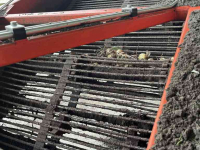 Onion harvester Holaras UM150-F - UR-135-DB Uienrooiset oogstmachines