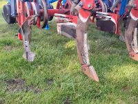 Seed drill Monosem Ruggen zaaimachine